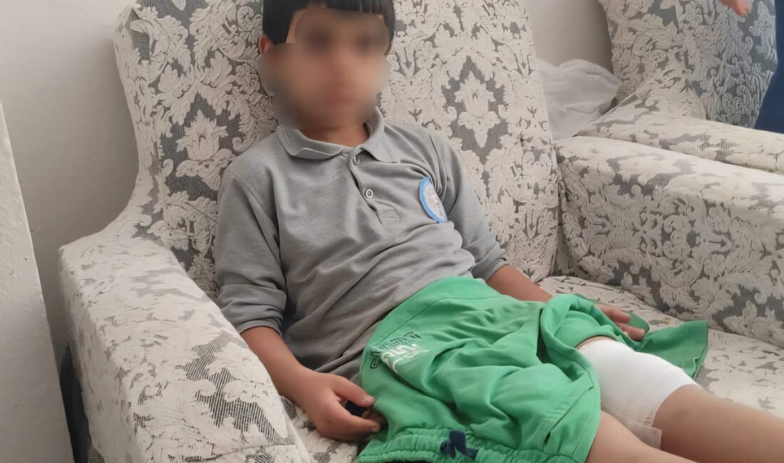 Bursa’nın Orhangazi ilçesinde sabah okula gitmek için evden çıkan 8