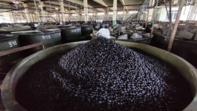 Marmarabirlik Orhangazi Zeytin Tarım Satış Kooperatifinde yaklaşık 1 ay süren