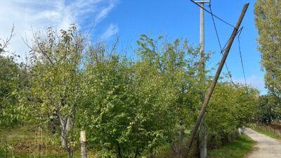 Bursa'nın Orhangazi ilçesine bağlı Yeniköy ile Ortaköy mahalleleri arasında bulunan