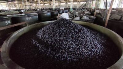 Türkiye'nin en büyük zeytin alım satım ve işleme kurumlarından olan
