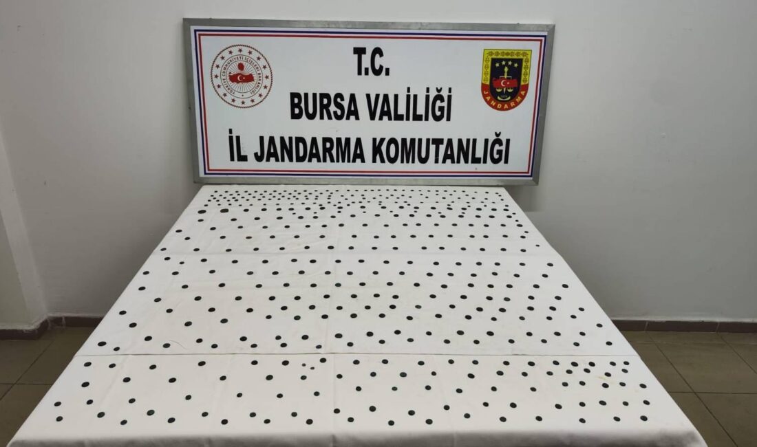 Bursa İl Jandarma Komutanlığı ekipleri, "Anadolu Mirası Operasyonu" kapsamında İznik
