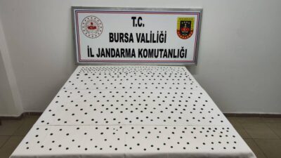 Bursa İl Jandarma Komutanlığı ekipleri, "Anadolu Mirası Operasyonu" kapsamında İznik