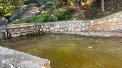 Bursa'nın Orhangazi ilçesinde 3.etap TOKİ konutlarında bulunan bir park içinde