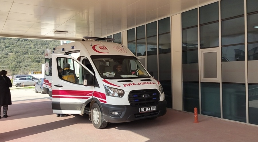 Boyalıca yakınlarında bulunan bir zeytin tarlasında çalışan 8 işçi, yedikleri