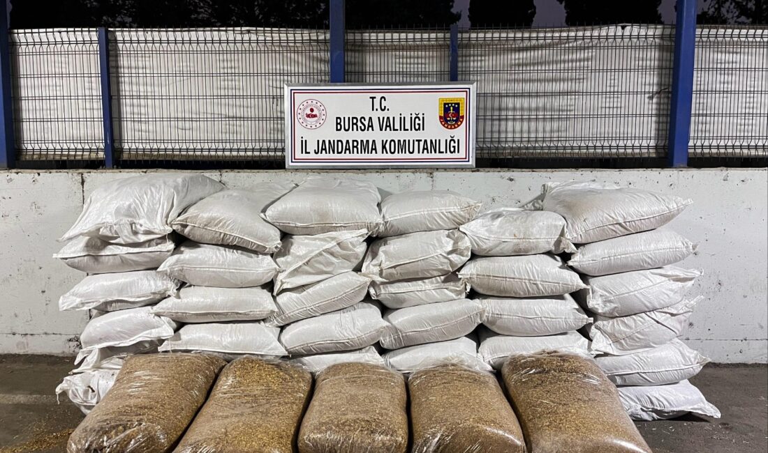 Bursa İl Jandarma Komutanlığı tarafından yapılan operasyonlar ile kaçak tütün