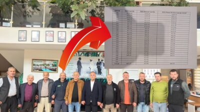 Bursa'nın Orhangazi ilçesinde, hasadı devam eden zeytin için Marmarabirlik tarafından