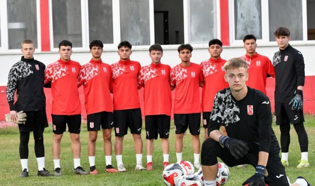 TFF 3. Lig ekiplerinden Balıkesirspor, Profesyonel Futbol Disiplin Kurulu 