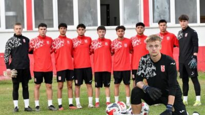 TFF 3. Lig ekiplerinden Balıkesirspor, Profesyonel Futbol Disiplin Kurulu 