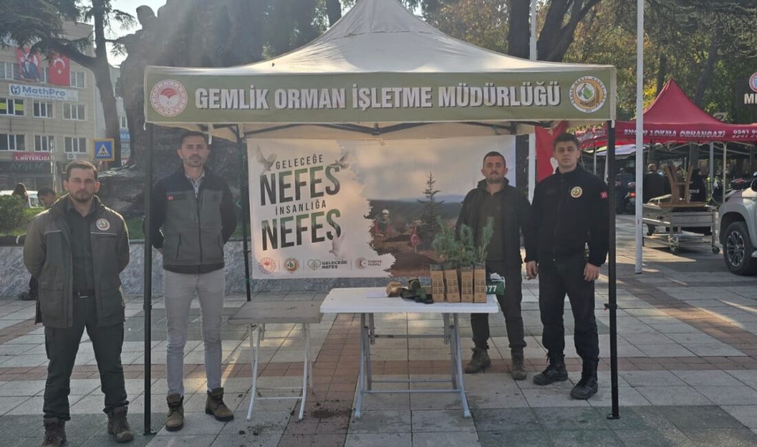 Bursa'nın Orhangazi ilçesinde, 11 Kasım Milli Ağaçlandırma Günü kapsamında vatandaşlara