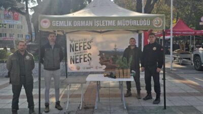 Bursa'nın Orhangazi ilçesinde, 11 Kasım Milli Ağaçlandırma Günü kapsamında vatandaşlara