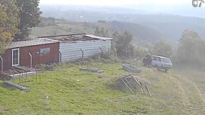 Yalova - Bursa karayolu üzerinde Orhangazi ilçesi yakınlarında bulunan bağ