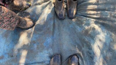 Sofralık anlamda en kaliteli  zeytinin üretildiği  Bursa'da geçtiğimiz ay başlayan