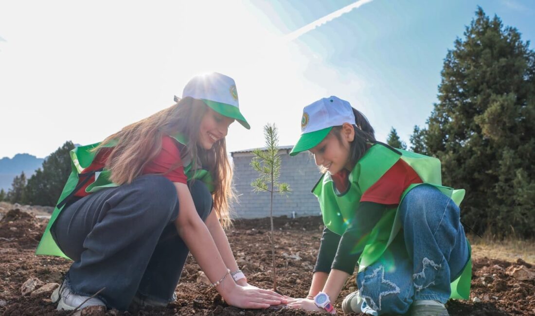 Türkiye, 11 Kasım Milli Ağaçlandırma Günü kapsamında bu yıl da doğa seferberliğinde
