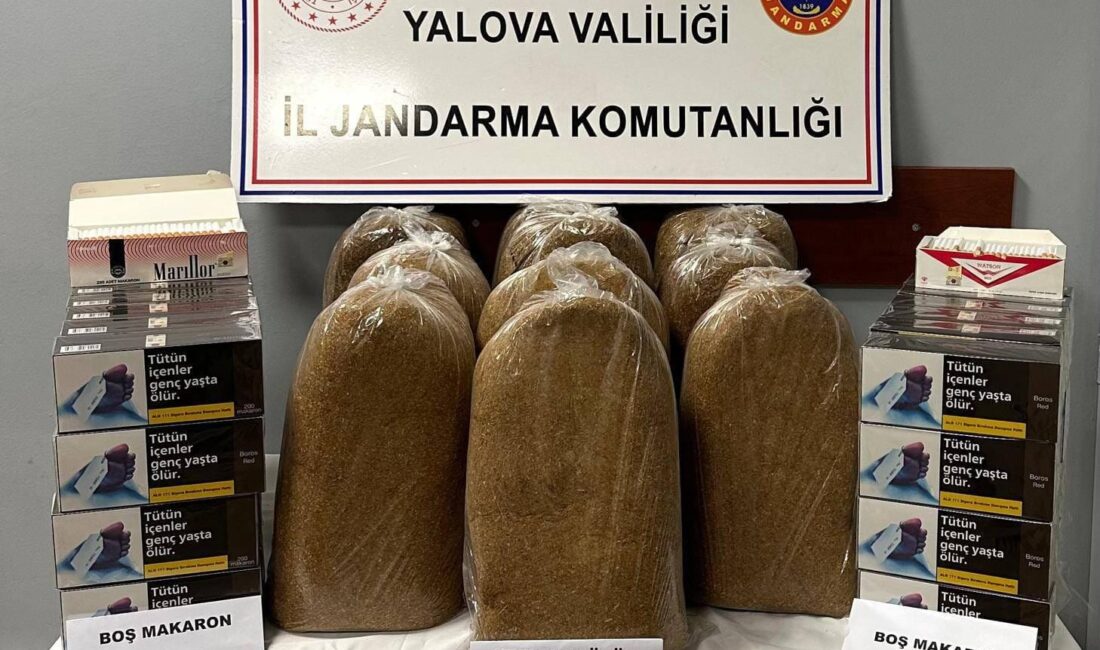 Yalova İl Jandarma Komutanlığı, Kaçakçılık ve Organize Suçlarla Mücadele Şube