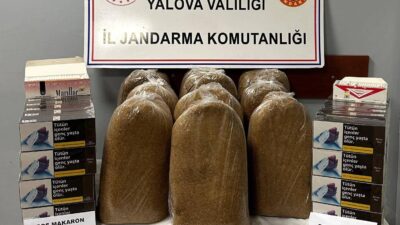 Yalova İl Jandarma Komutanlığı, Kaçakçılık ve Organize Suçlarla Mücadele Şube