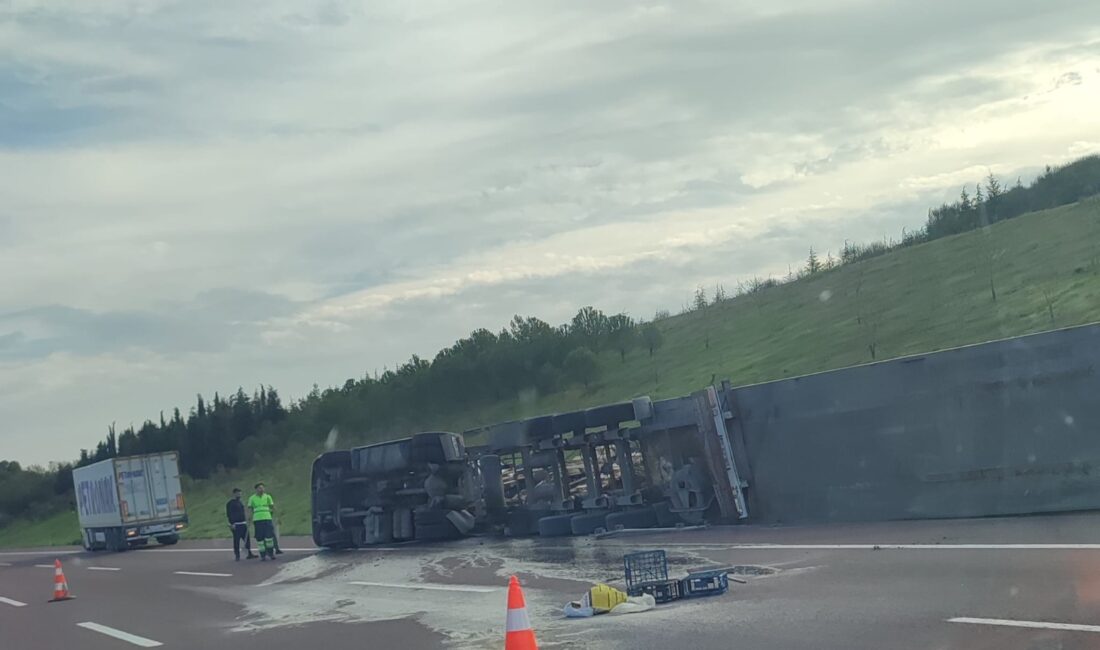 Gebze - Orhangazi - İzmir otoyolunda meydana gelen kazada, kontrolden