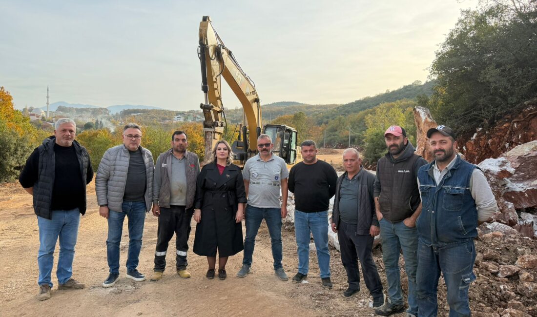 Bursa'nın Orhangazi ilçesinin kırsal mahallelerinden Fındıklı ile Hamzalı arasındaki yolda,