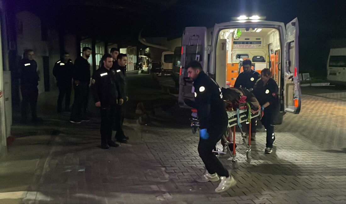 Bursa'nın Gemlik ilçesinde bir zeytin tarlasında meydana gelen olayda bir