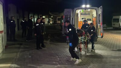 Bursa'nın Gemlik ilçesinde bir zeytin tarlasında meydana gelen olayda bir