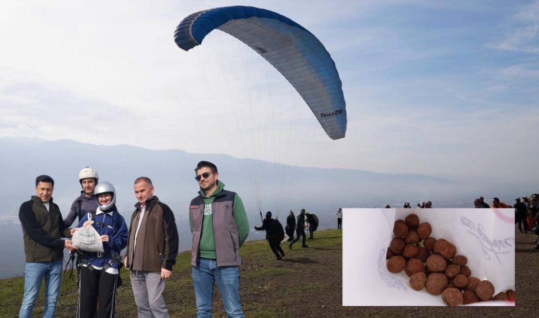 Gürsu’da yanık sahaların yeniden ormanlaştırılması amacıyla “Tohumdan Ormana” Projesi kapsamında