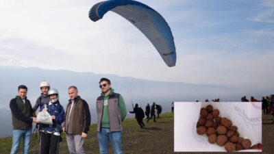 Gürsu’da yanık sahaların yeniden ormanlaştırılması amacıyla “Tohumdan Ormana” Projesi kapsamında