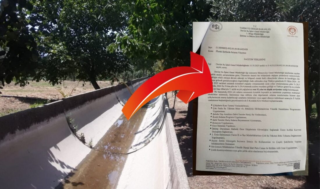  Tarım ve Orman Bakanlığı Devlet Su İşleri  Genel Müdürlüğü, Meteoroloji