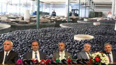 Marmarabirlik, 2025/2026 iş yılı ürün alım kampanyası nihai ürün alım