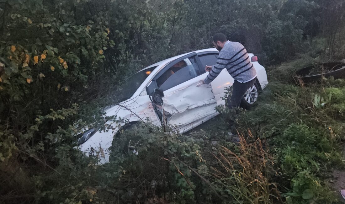 Kaza bu akşam saat 17.15 sıralarında Orhangazi İznik yolu üzeri