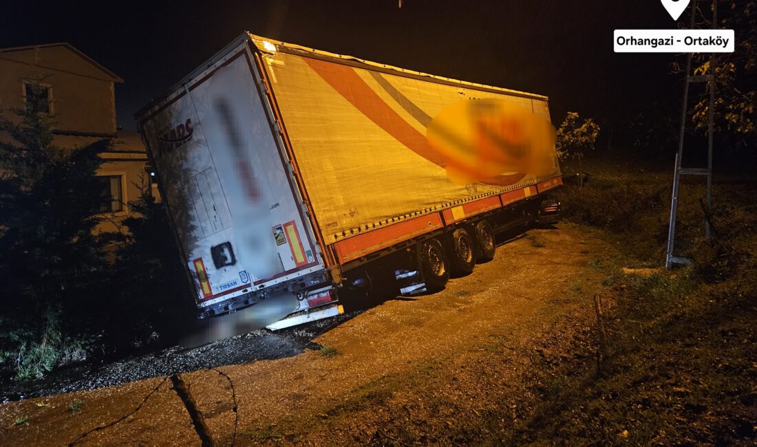 Bursa'nın Orhangazi ilçesinde meydana gelen olayda yabancı uyruklu kadın sürücünün