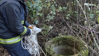 Yalova'da  kuyuya düşen bir keçi, itfaiye ekiplerinin yaptığı başarılı bir