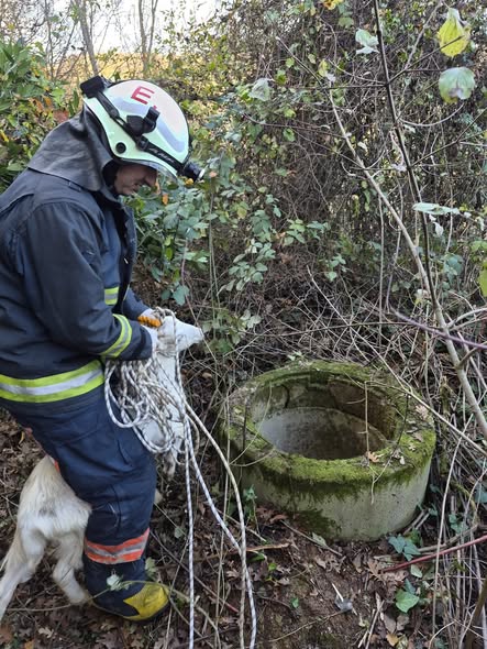 Yalova'da  kuyuya düşen bir keçi, itfaiye ekiplerinin yaptığı başarılı bir