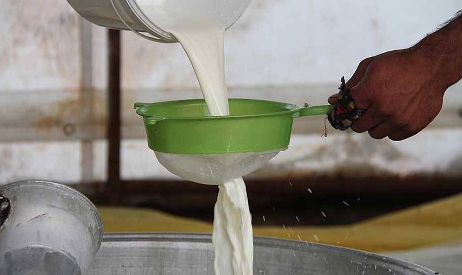 Tüm Süt, Et ve Damızlık Sığır Yetiştiricileri Derneği (TÜSEDAD), artan