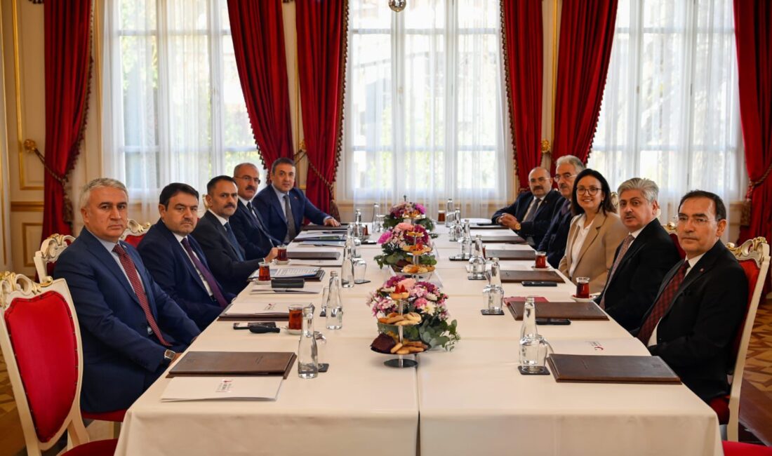 Düzensiz göçle mücadelede etkinliği güçlendirmek ve kurumlar arası iş birliğini