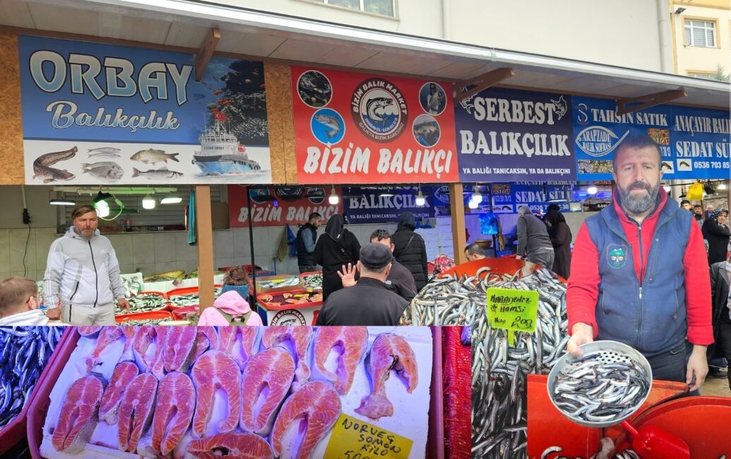 Bursa’da hafta sonu denizlere açılan balıkçıların kıyıya getirdiği balıklar yeni
