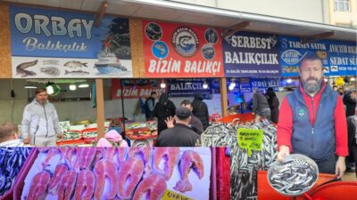 Bursa’da hafta sonu denizlere açılan balıkçıların kıyıya getirdiği balıklar yeni