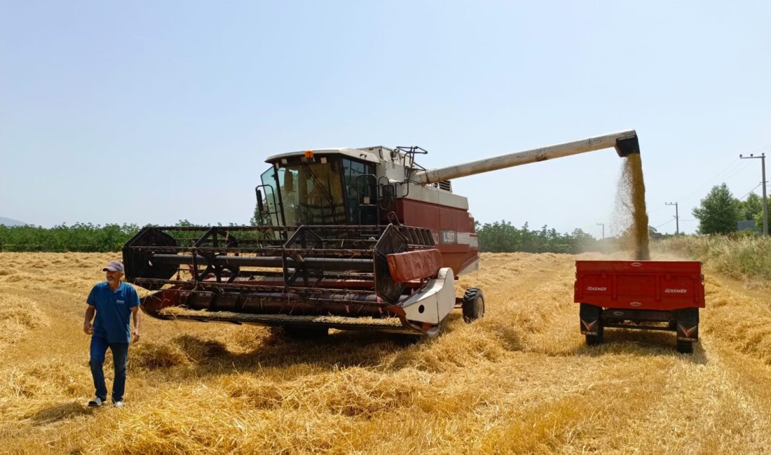 Bursa'da 2026 üretim yılı için Çiftçi Kayıt Sistemi (ÇKS) başvurularında