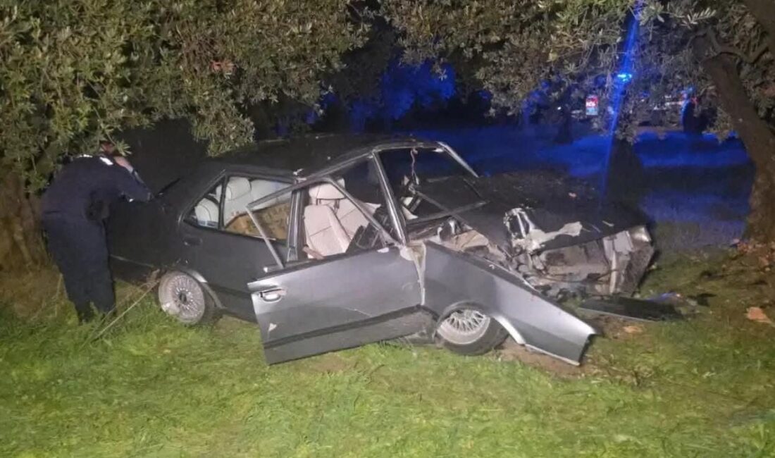 Orhangazi Cihanköy yakınlarında meydana gelen trafik kazasında bir otomobil kontrolden