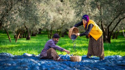 Bursa Fotoğraf ve Sinema Amatörleri Derneği ve Gemlik Belediyesi iş
