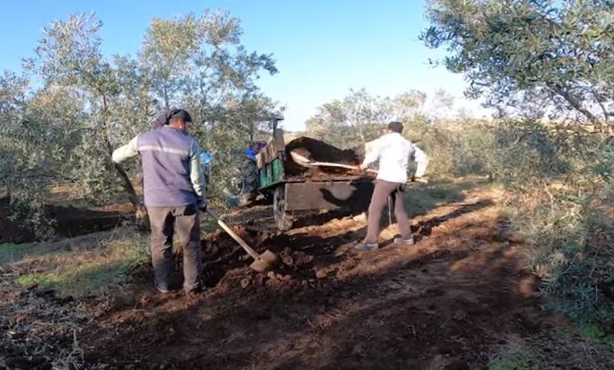 Tarımsal maliyetlerdeki fahiş artışlar, Bursalı çiftçileri geleneksel yöntemlere geri döndürüyor.