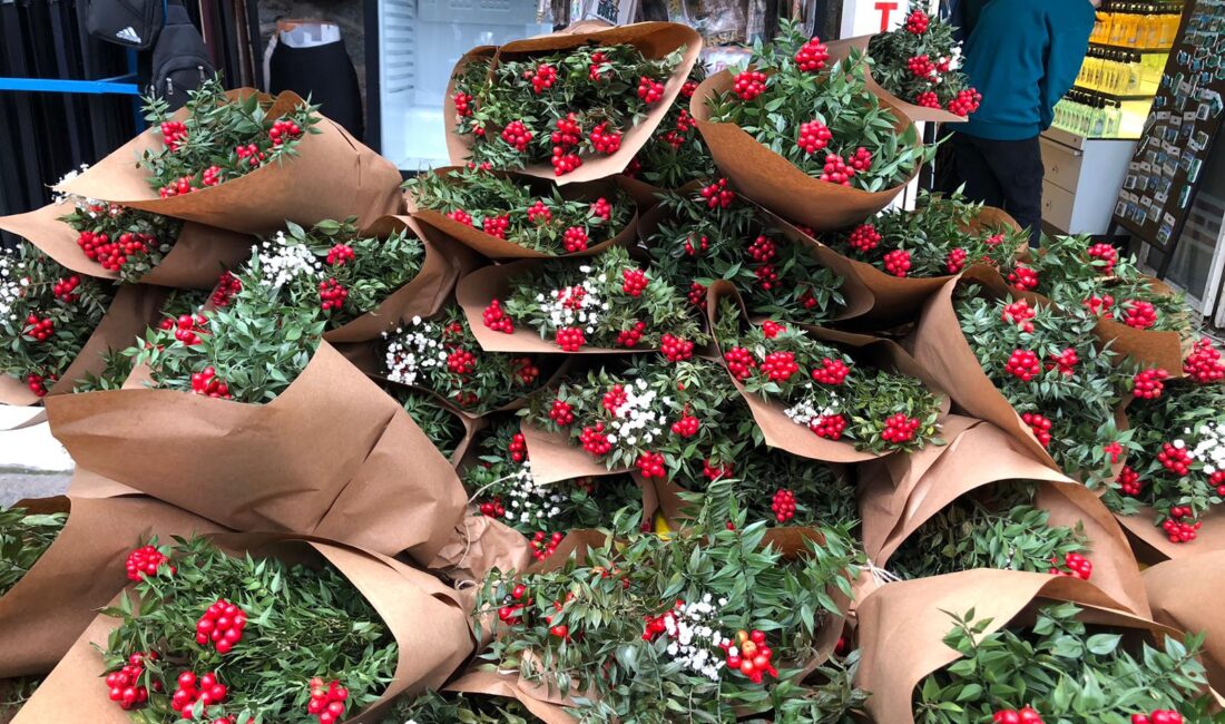 Yeni yılın vazgeçilmezi kokina, Bursa’da tezgahlara çıkmasıyla birlikte fiyatıyla da