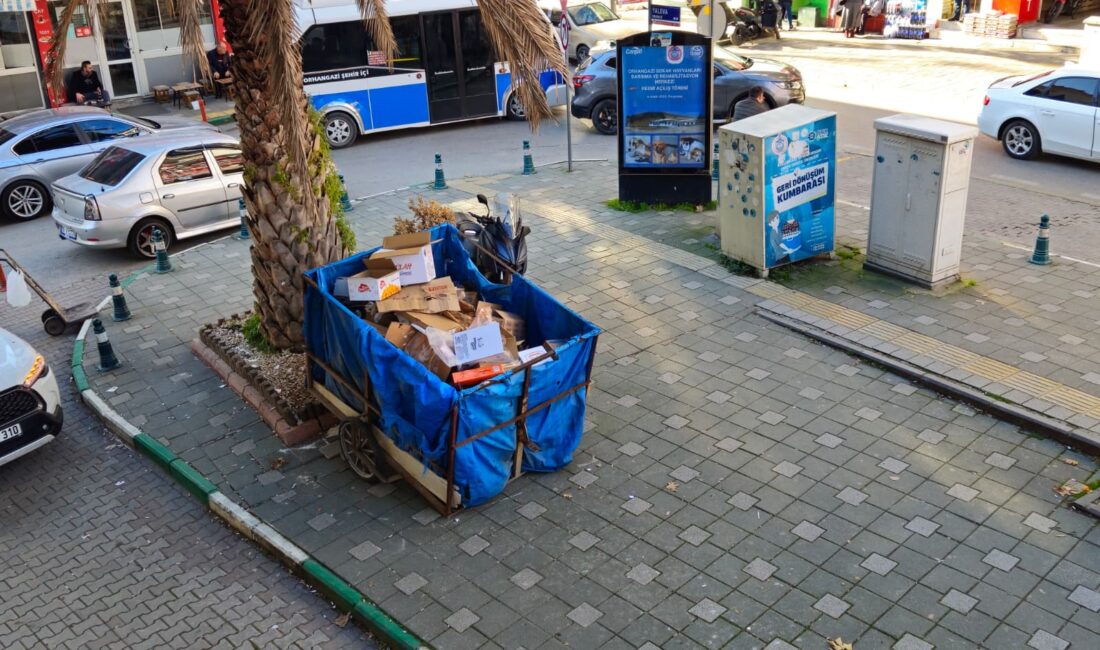 Bursa’nın Orhangazi ilçesinde ana caddeler üzerine gelişi güzel bırakılan karton