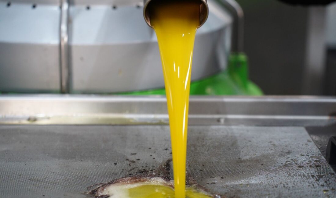 Bursa'nın daha çok zeytin üretimi yapılan ilçelerinde faaliyet gösteren zeytin