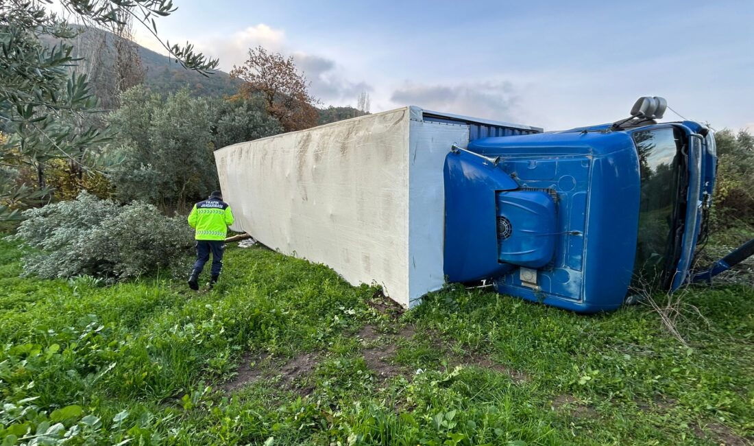 Bursa’nın Orhangazi ilçesinde kontrolden çıkan kamyon savrularak zeytin tarlasına devrildi.