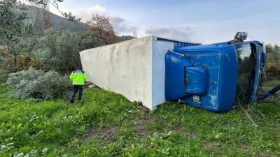 Bursa’nın Orhangazi ilçesinde kontrolden çıkan kamyon savrularak zeytin tarlasına devrildi.