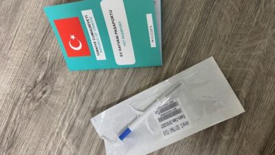 Tarım ve Orman Bakanlığı, kedi ve köpek sahiplerini kimliklendirme konusunda