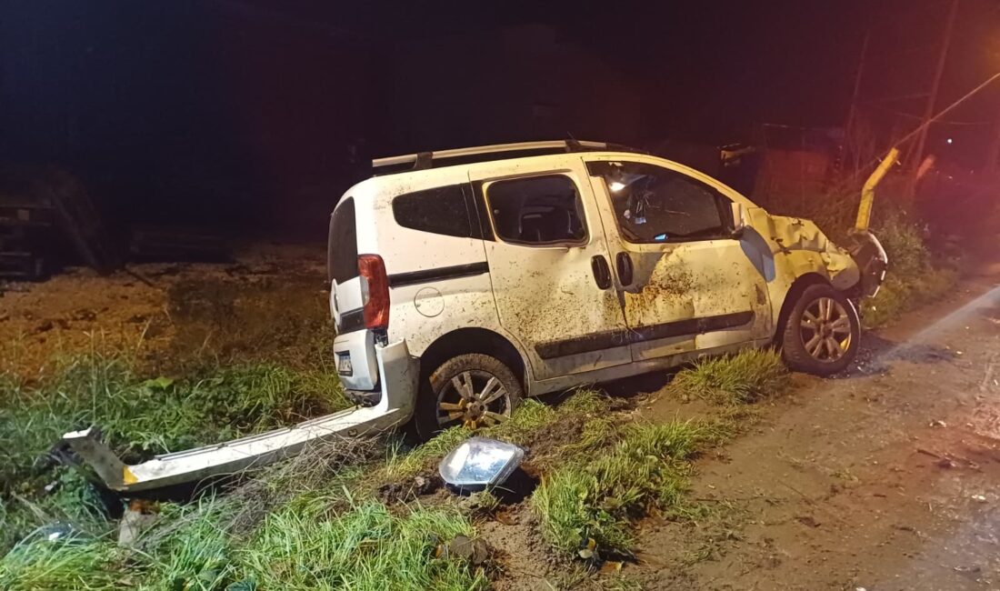 Bursa'nın Orhangazi ilçesinde meydana gelen trafik kazasında, kontrolden çıkan hafif