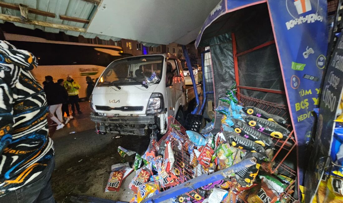 Bursa'nın Orhangazi ilçesinde meydana gelen trafik kazasında, kontrolden çıkan kamyonet