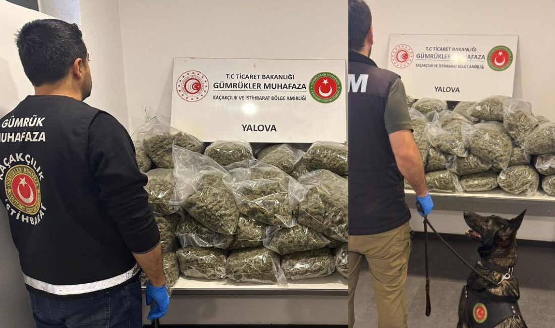 Yalova Ro-Ro Limanı'nda Gümrük Muhafaza ekiplerince gerçekleştirilen  çalışmalar sonucunda, Fransa'dan