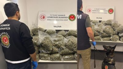 Yalova Ro-Ro Limanı'nda Gümrük Muhafaza ekiplerince gerçekleştirilen  çalışmalar sonucunda, Fransa'dan