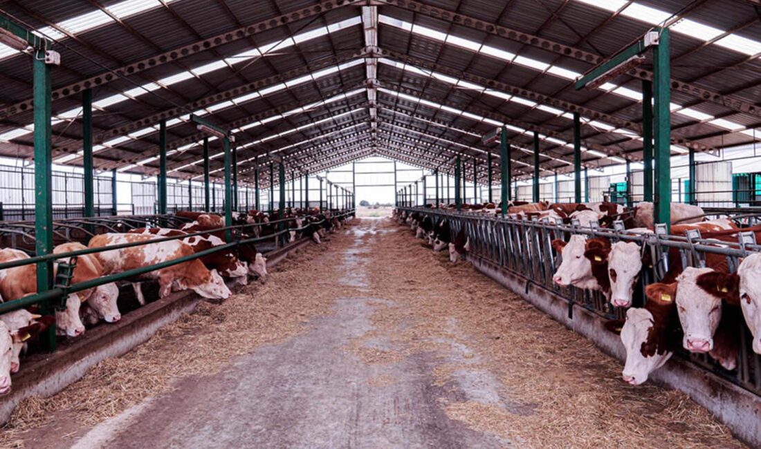 Orhangazi Belediyesi 2025 Yılı Aralık Ayı Meclis Toplantısı, Belediye Başkanı